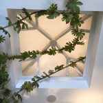 Wooden Timber framed Roof Lantern Bicester Village skylight